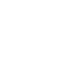 icon IMPORT